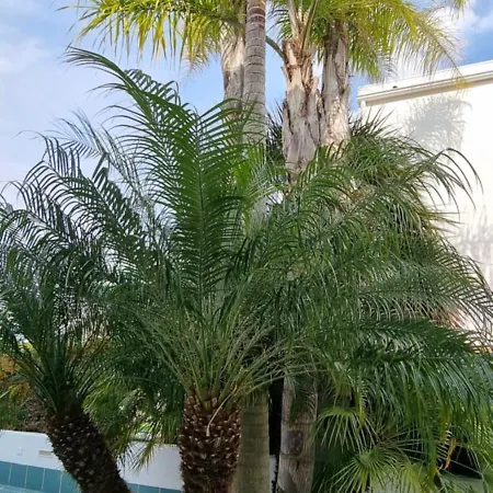 Marina 27 Албуфейра