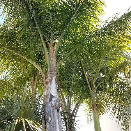 Marina 27 * Албуфейра