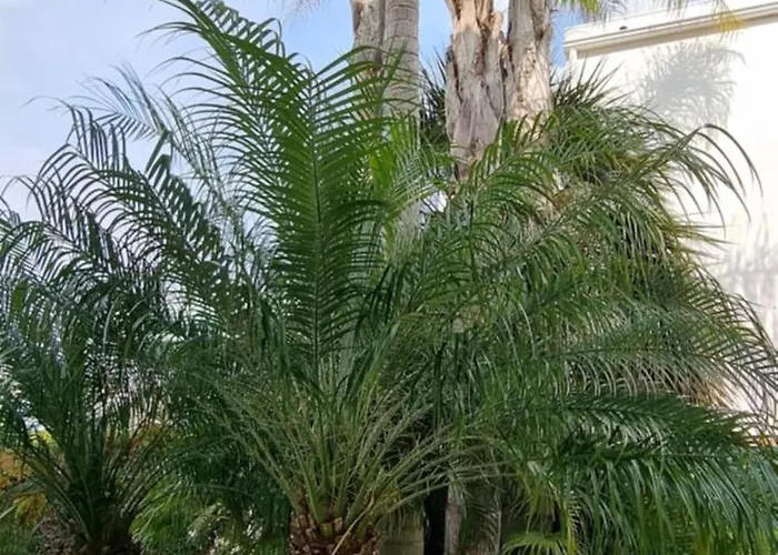 Marina 27 알부페이라